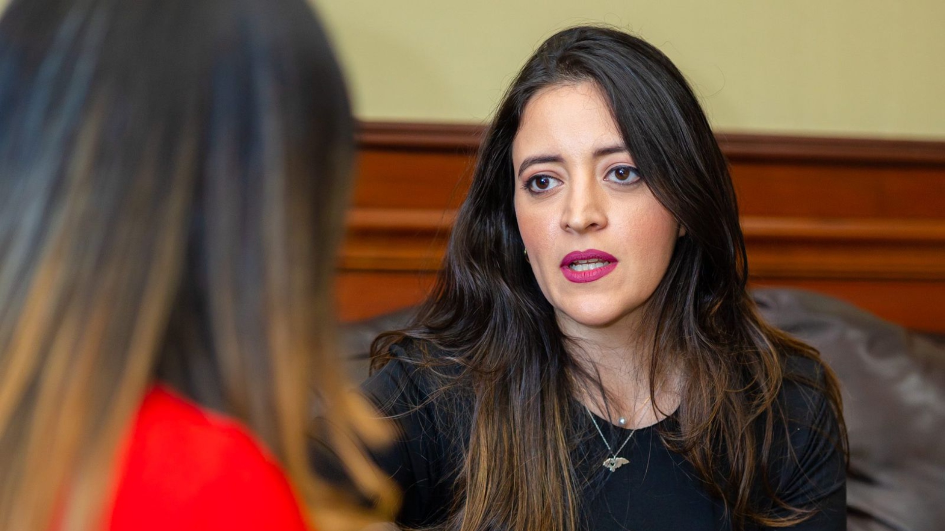 Piden que la diputada ‘Pichu’ Zelaya sea la coordinadora del movimiento M28