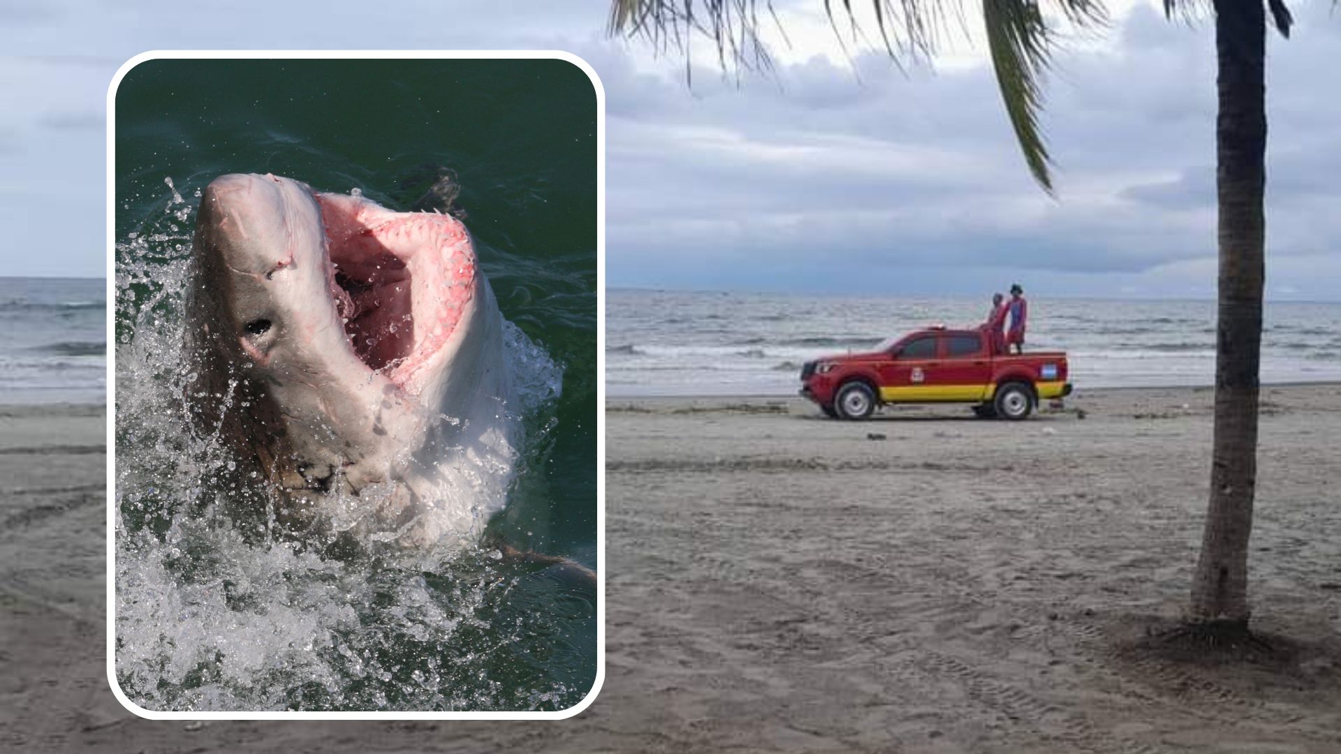 El tiburón no le dañó órganos vitales a Roberto Carlos Bu, solo tejidos de un lado del abdomen