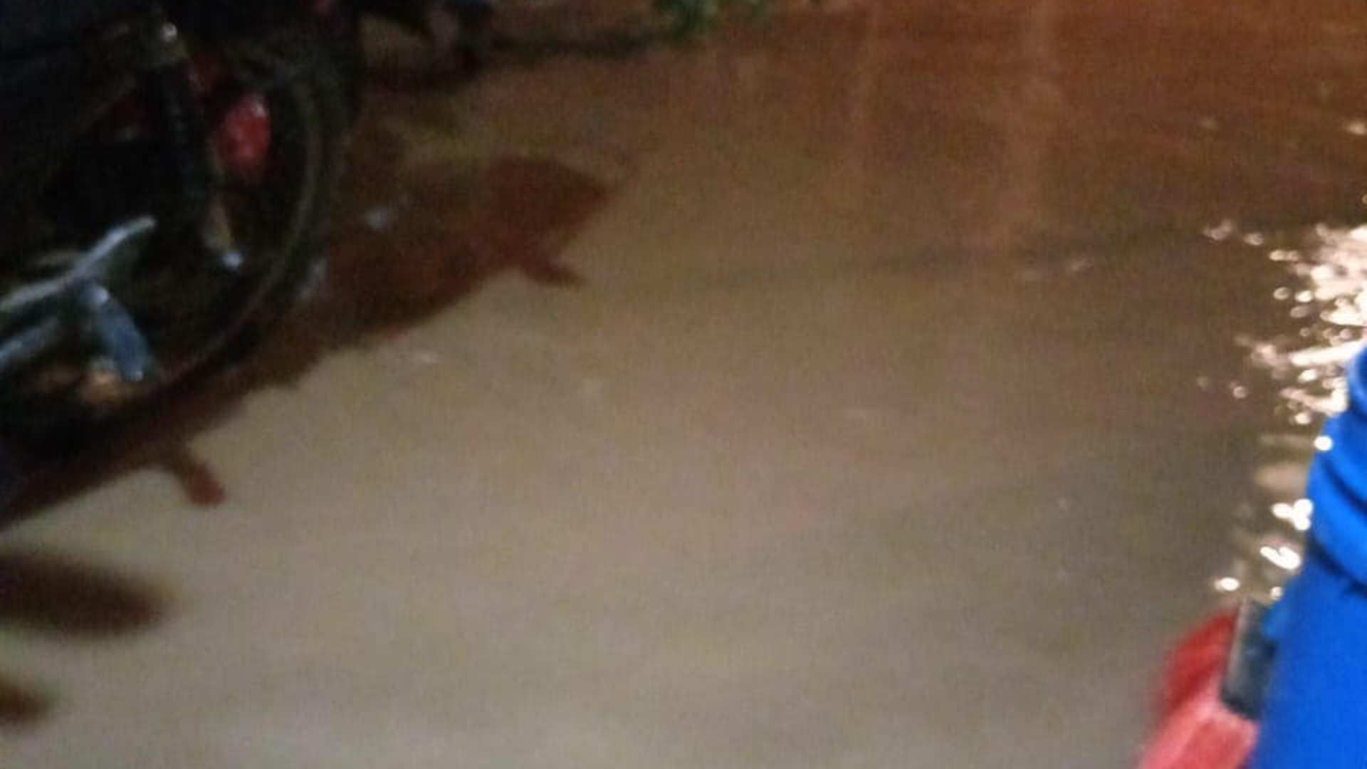 alerta amarilla honduras