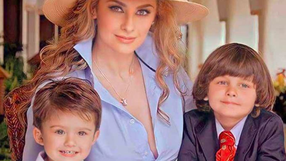Aracely Arámbula expresó su alegría por el reciente acercamiento entre el cantante y sus hijos Miguel y Daniel, luego de mucho tiempo sin contacto.