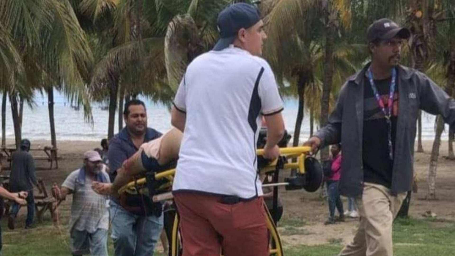 ataque tiburón Tela