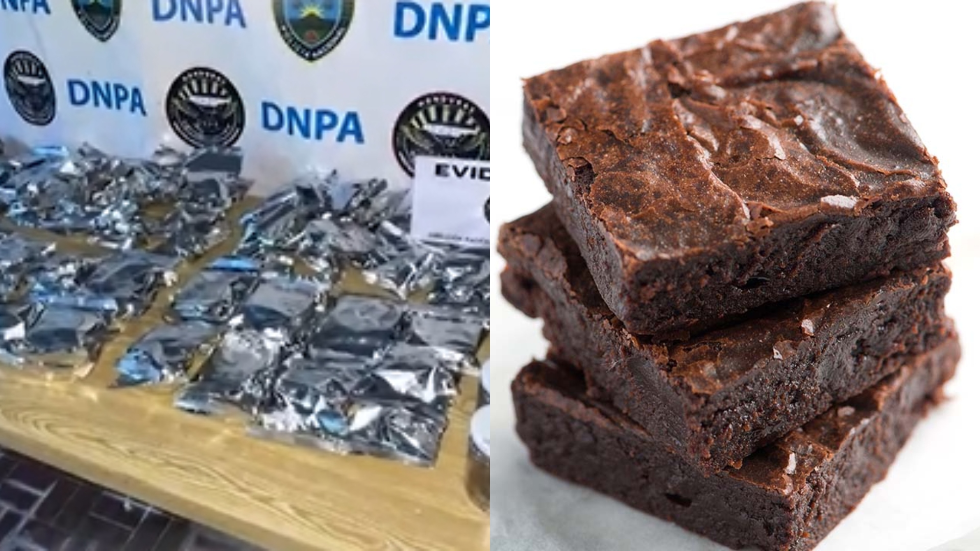 autoridades marihuana