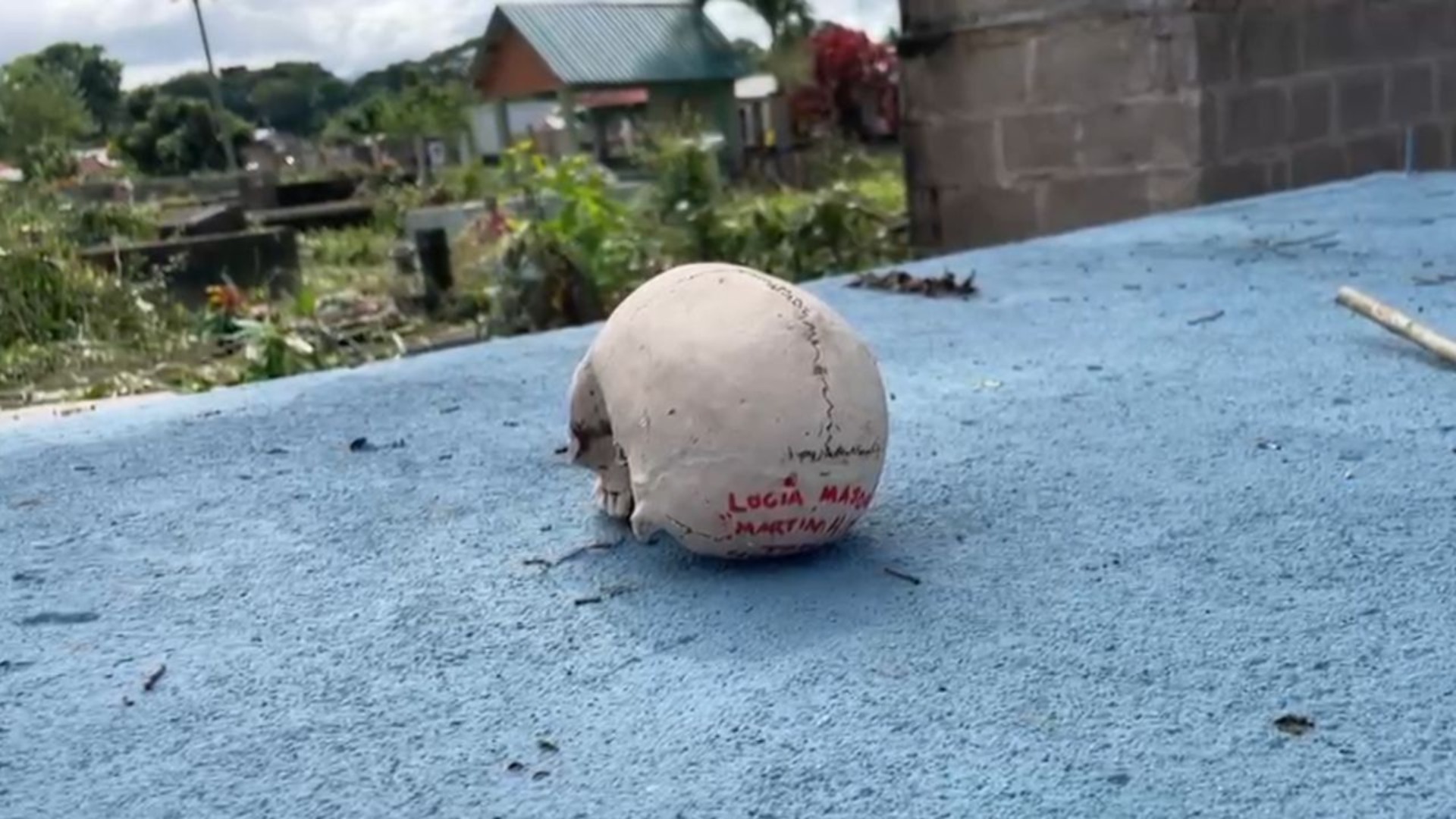 cráneo humano tumba Tocoa