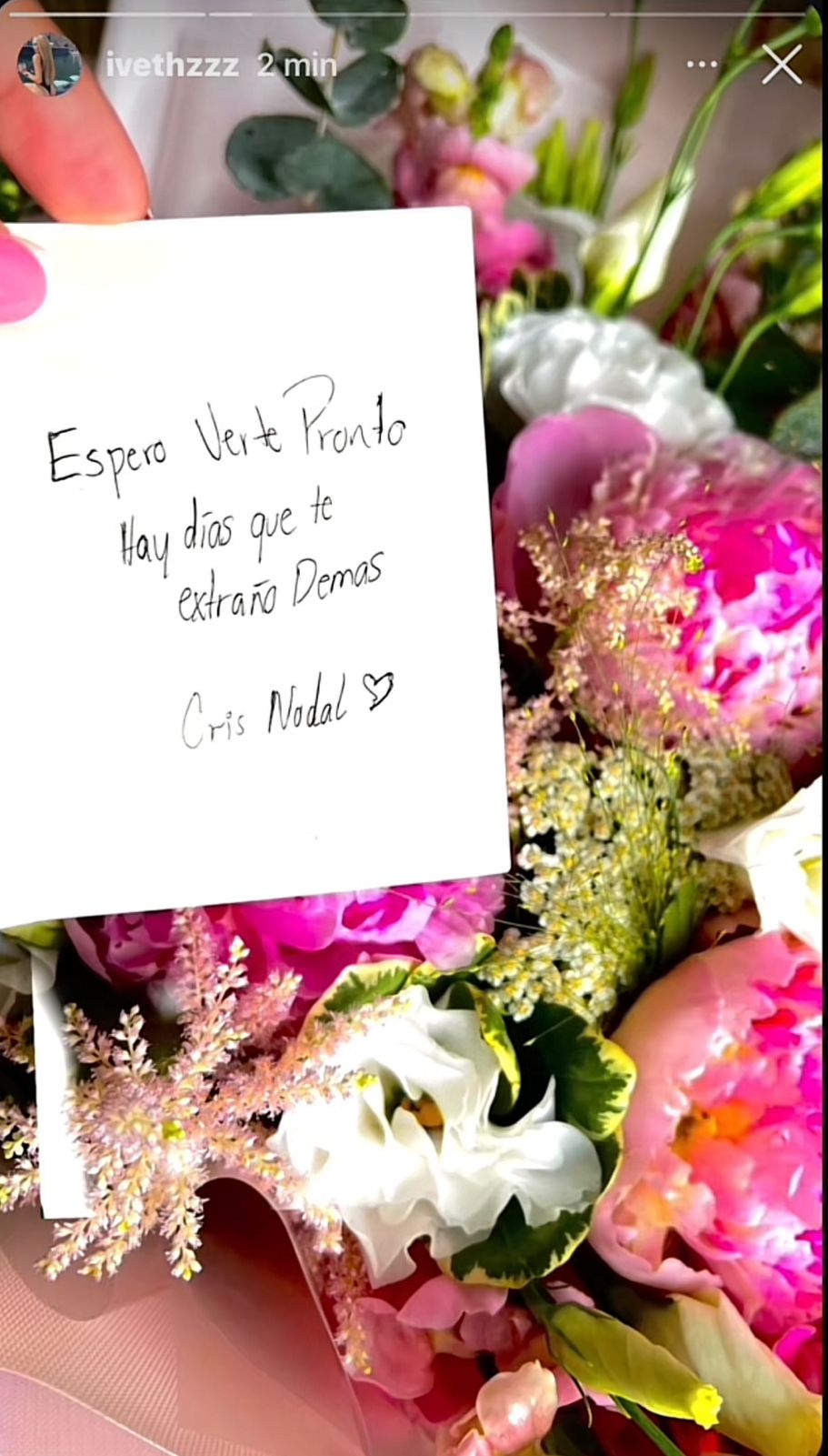 amante de Nodal