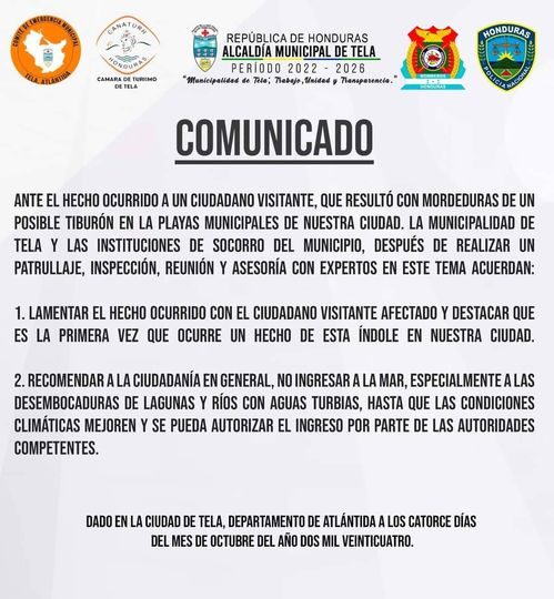 ataque tiburón Tela