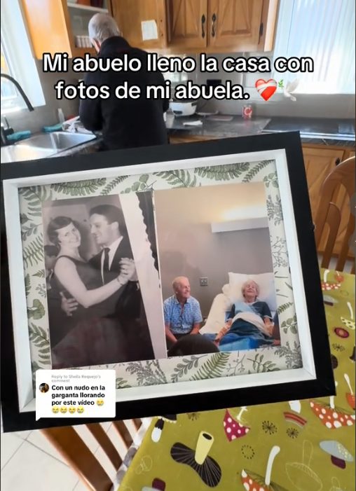 Señora deja comida congelada para su esposo antes de partir