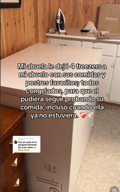Señora deja comida congelada para su esposo antes de partir