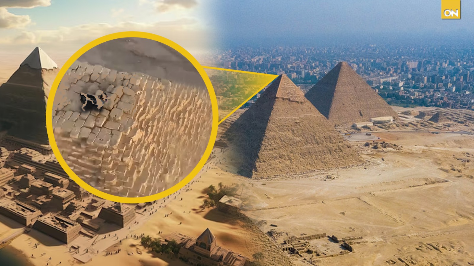 perrito pirámide Giza Egipto