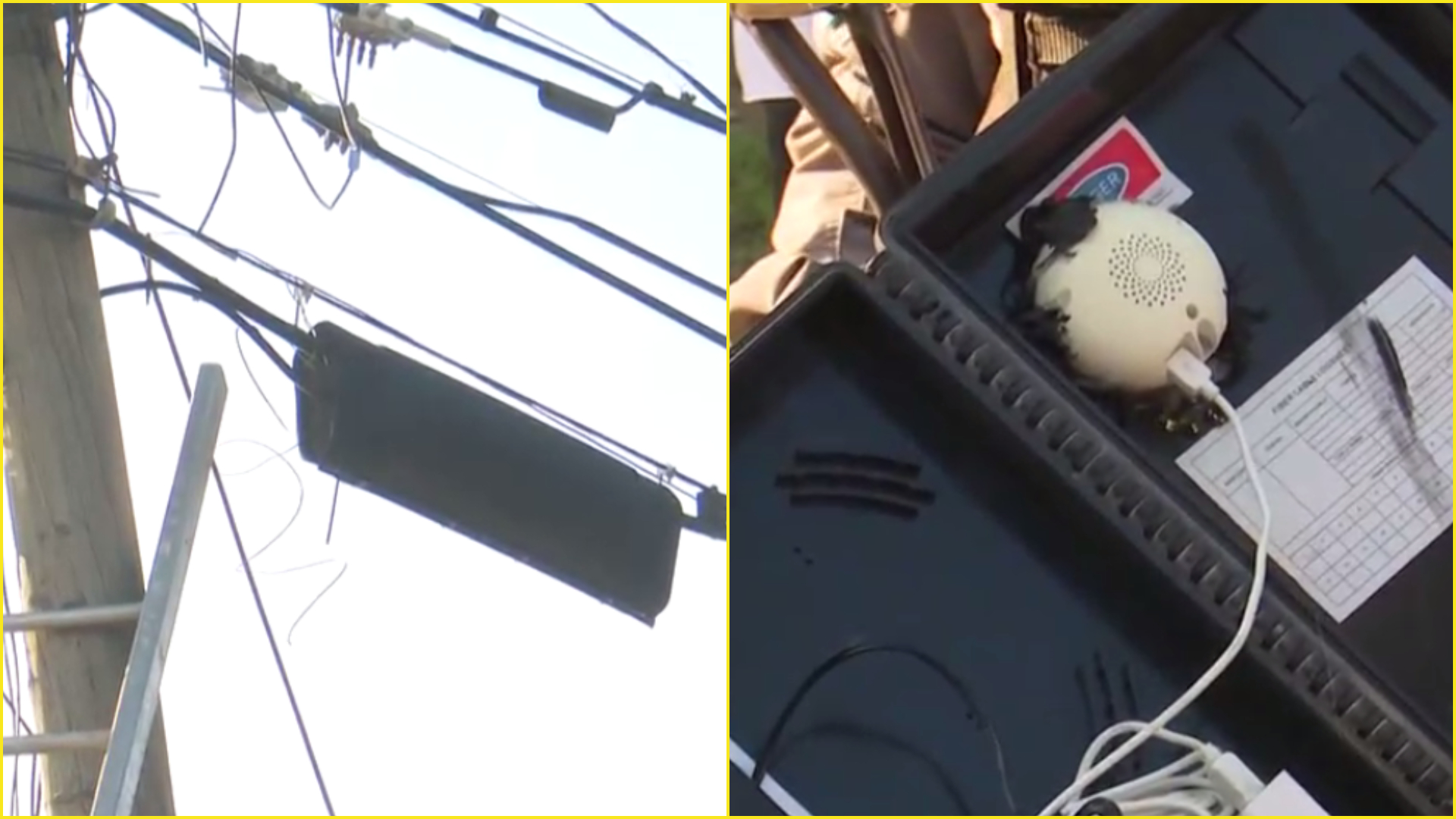 Desarticulan red de cámaras de seguridad puestas por la pandilla 18