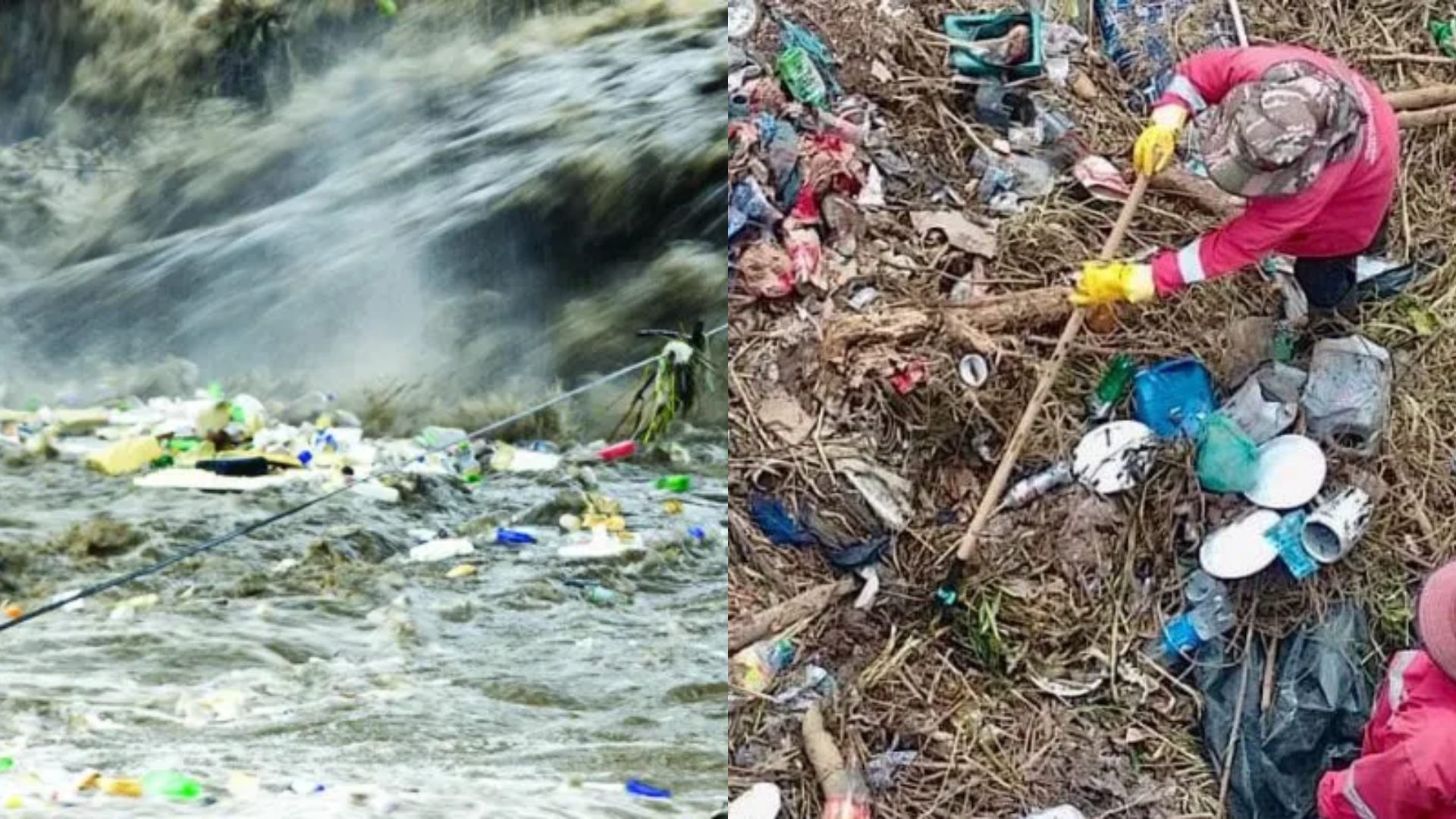 basura San Pedro Sula