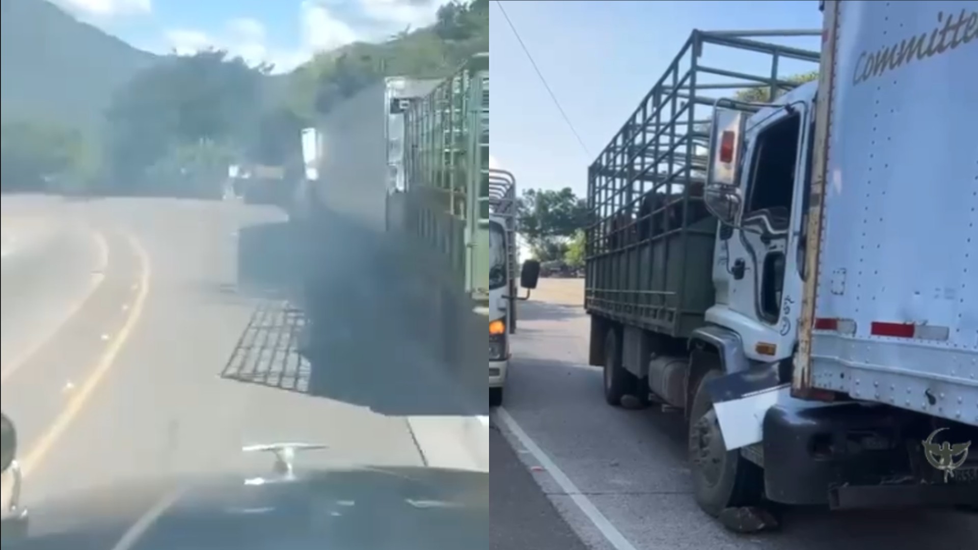 conductor de rastra camión con ganado carretera CA-5