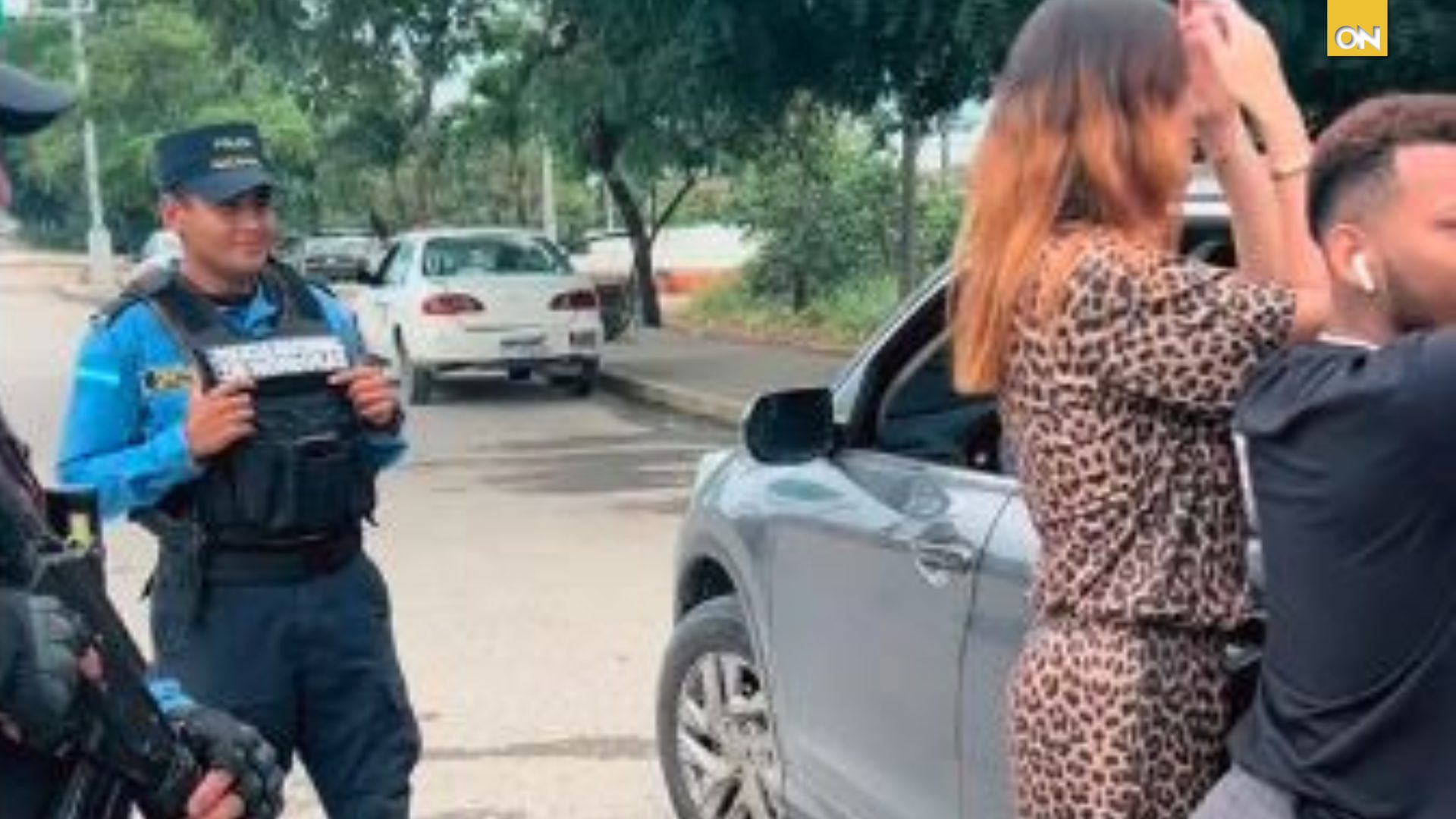 Bicha Catracha en navidad detenida
