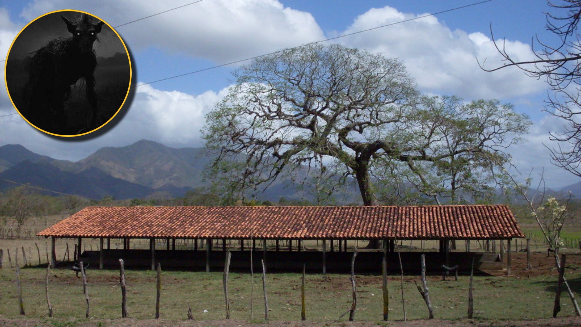 Chupacabras en Olancho