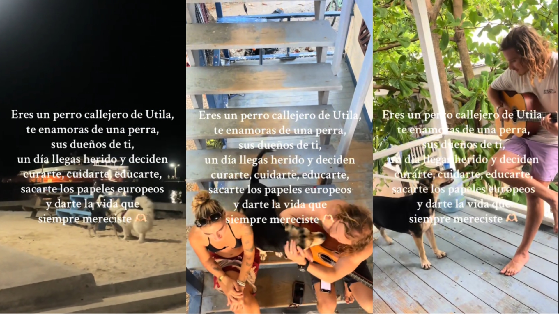 "Por que se enomoró de su perrita" 😍 | Europeos adoptan perro callejero de Útila