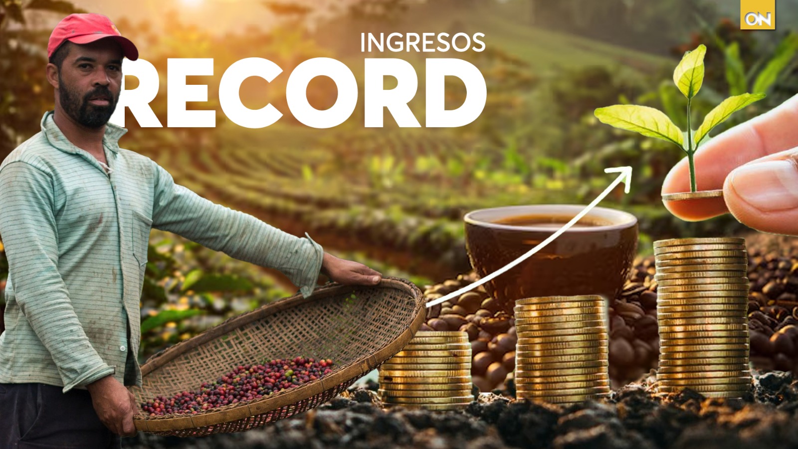 productores de café