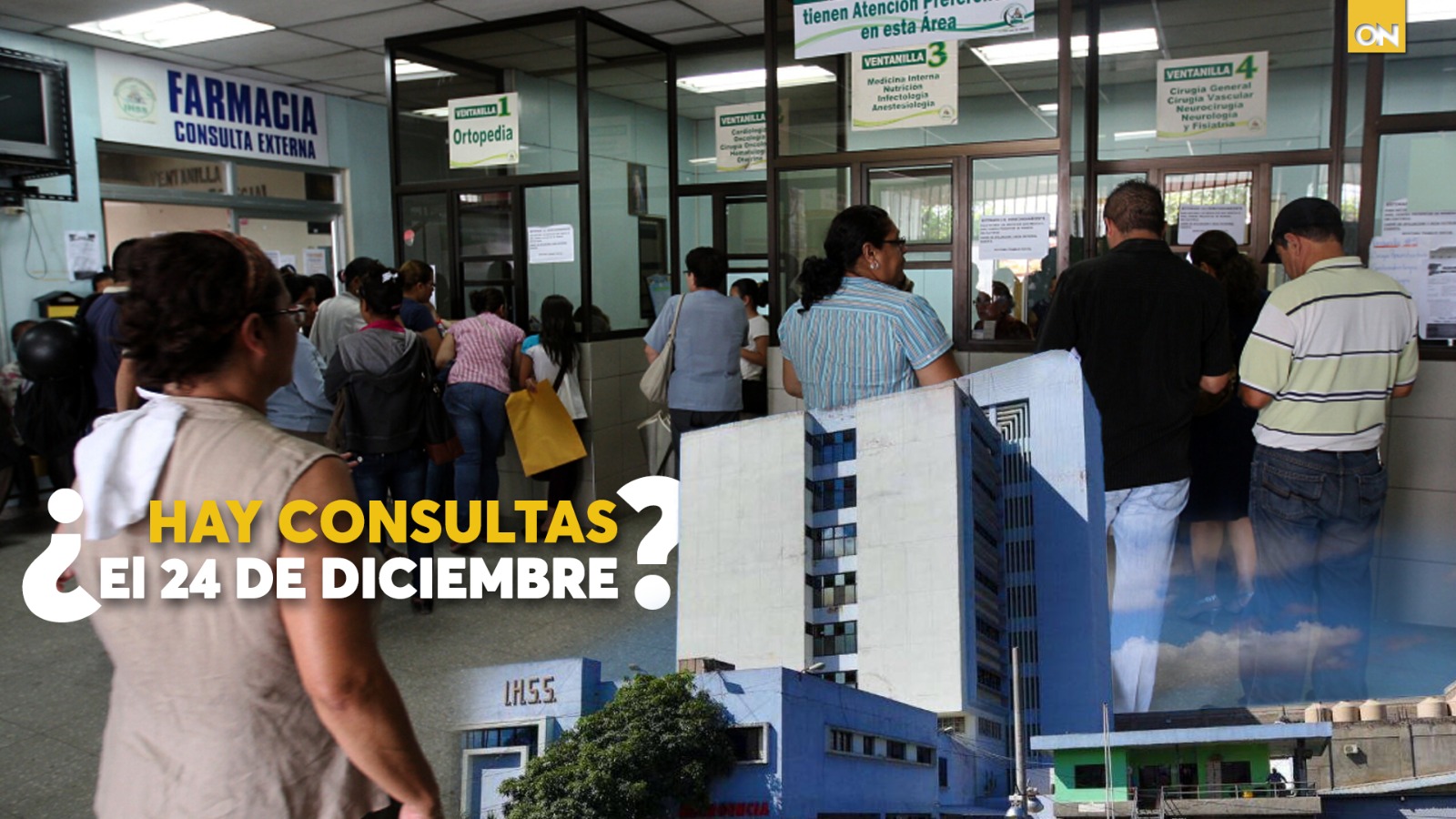 Seguro Social consultas