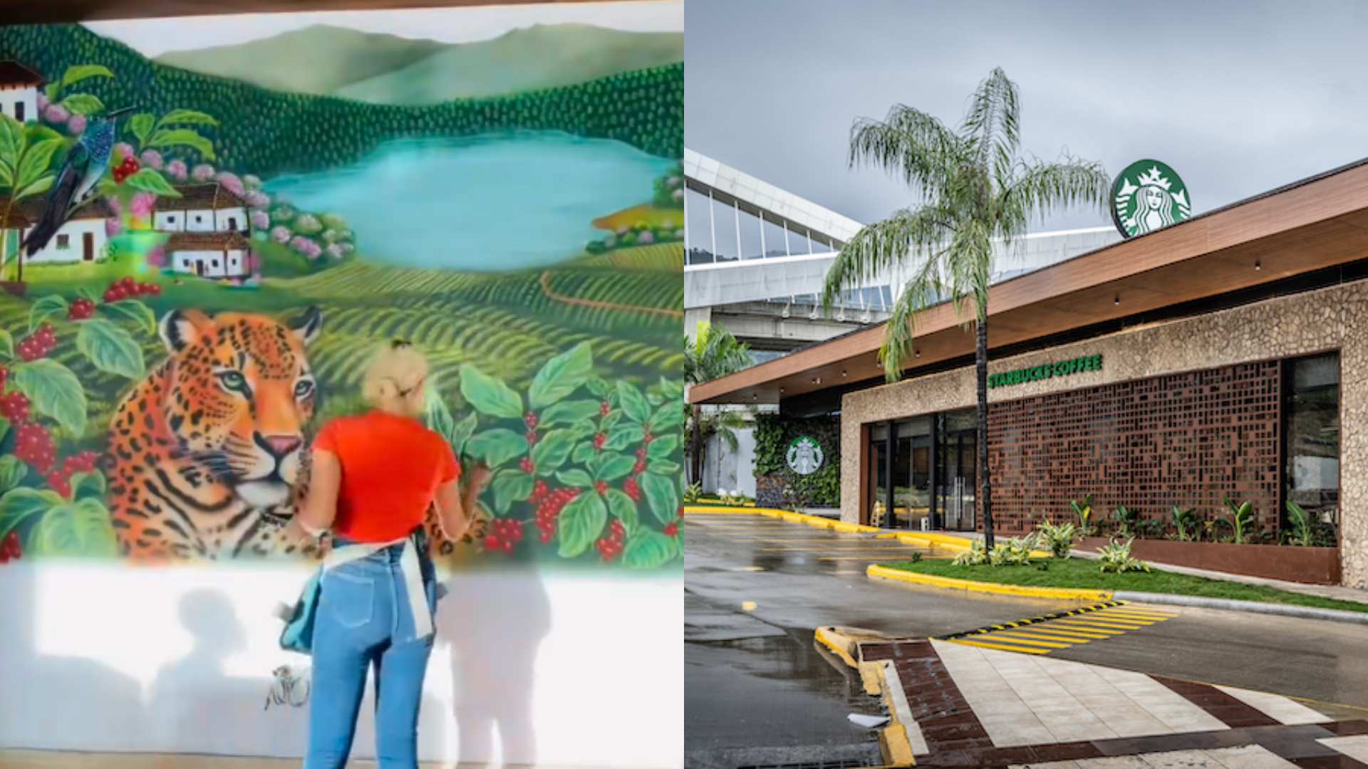 Starbucks Honduras
