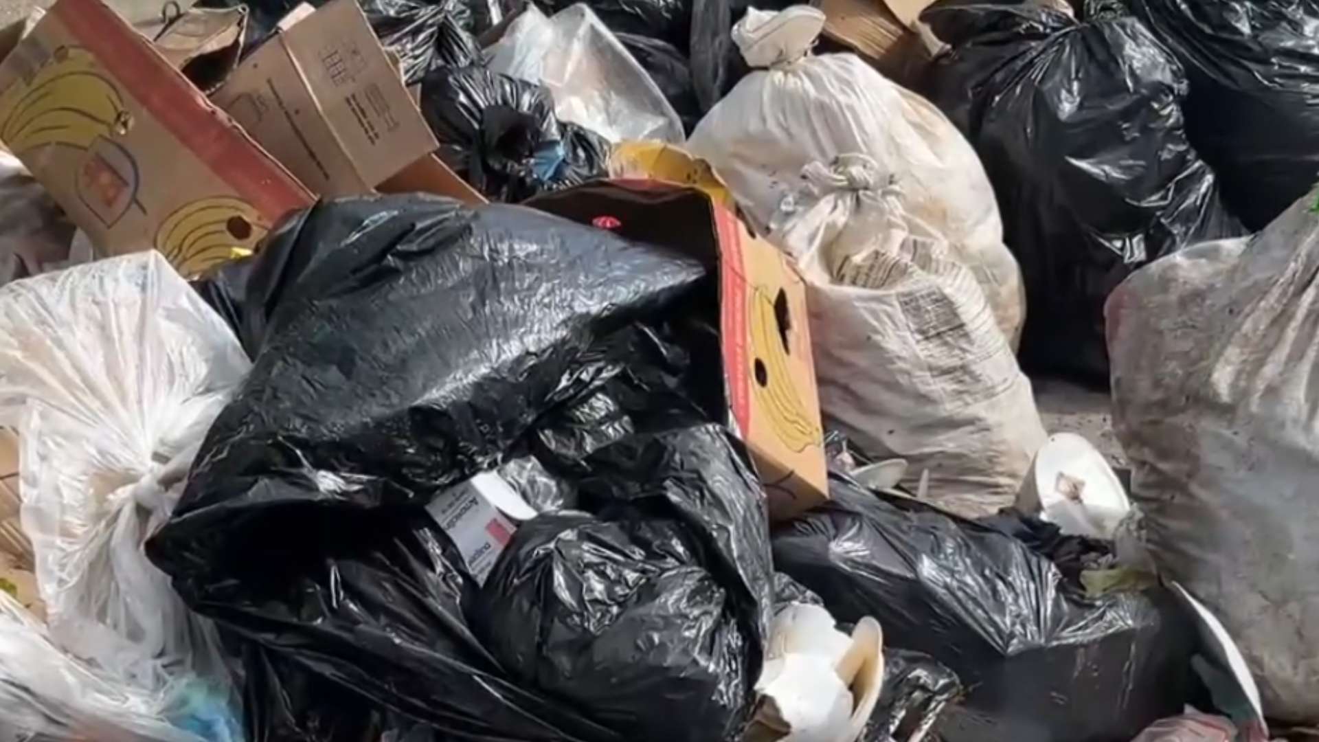 Crisis de desechos en Tocoa tras paso de tormenta Sara; "19 días sin recolección de basura"
