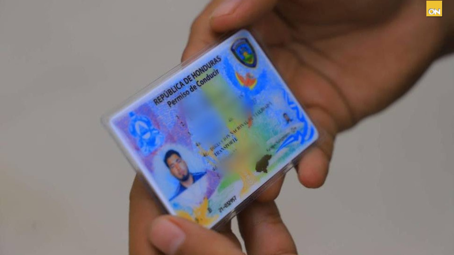 DNVT sede licencias de conducir