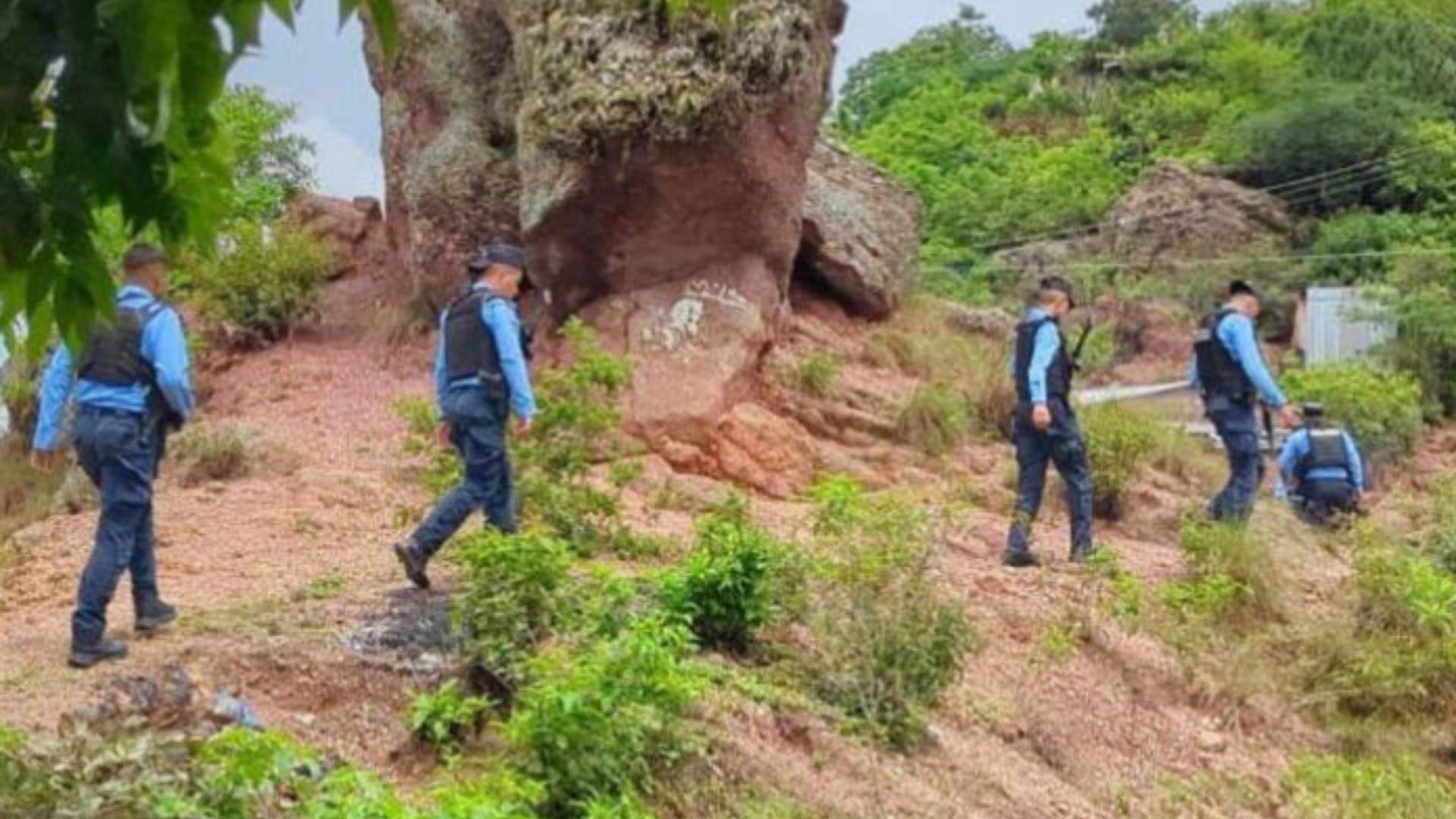 Encuentran cuerpos de jóvenes desaparecidos en aldea Mateo