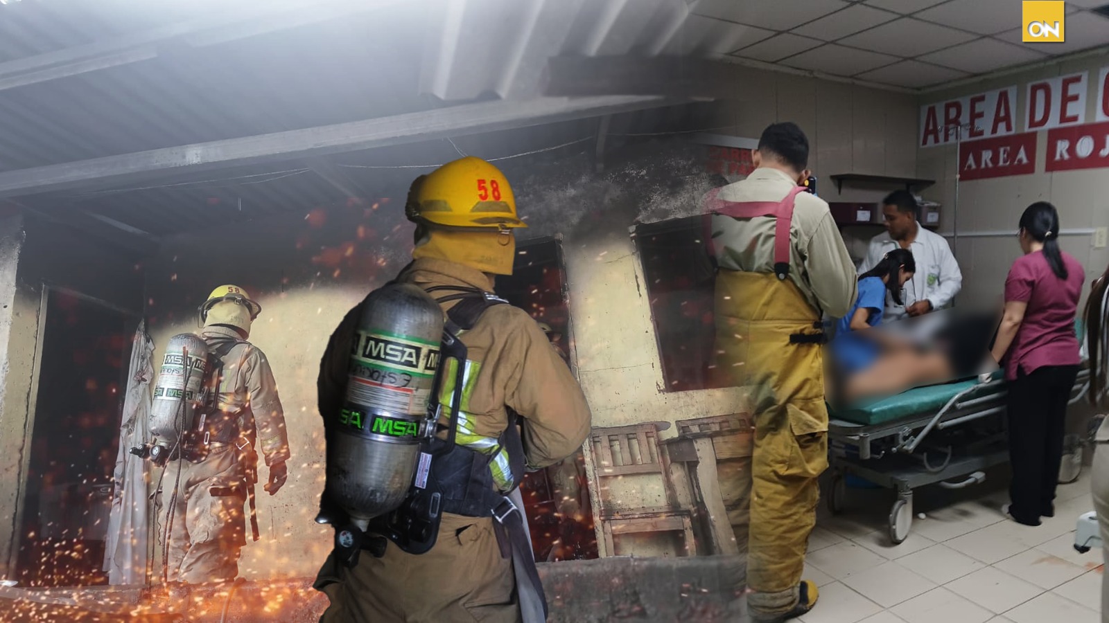 La Ceiba menor dos años