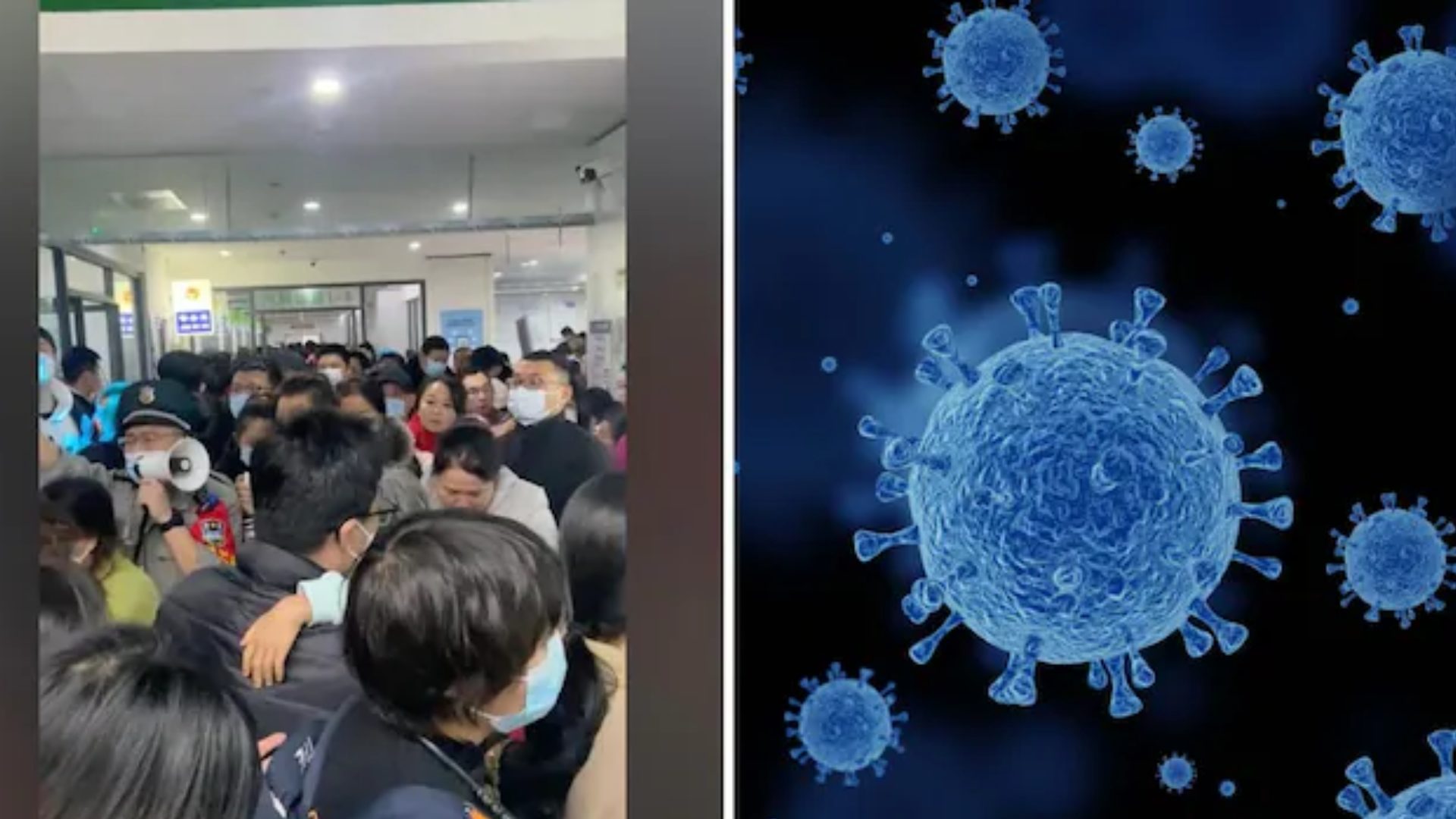 Qué es el metapneumovirus