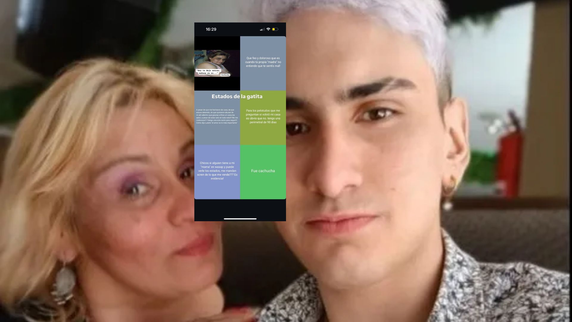 gatita warhol chat leandro imbrogiano madre.j