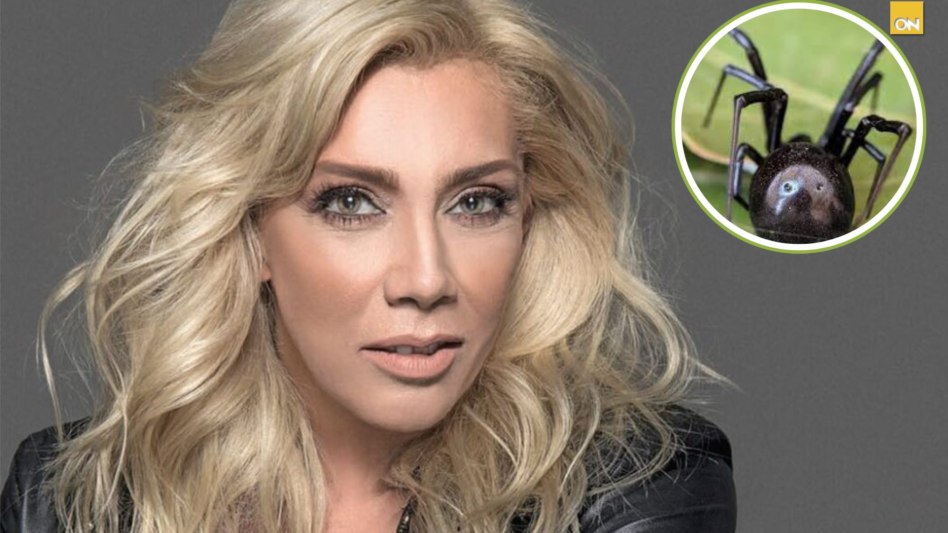 Cynthia Klitbo, interna por complicación de salud