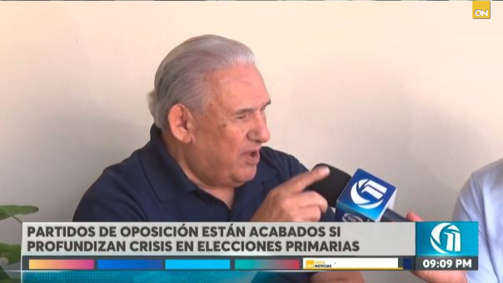 Oposición elecciones primarias