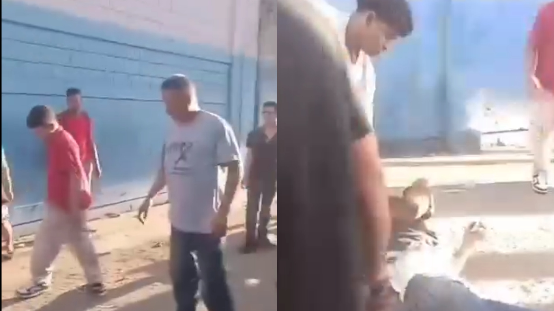 video de asalto en bus de san pedro sula
