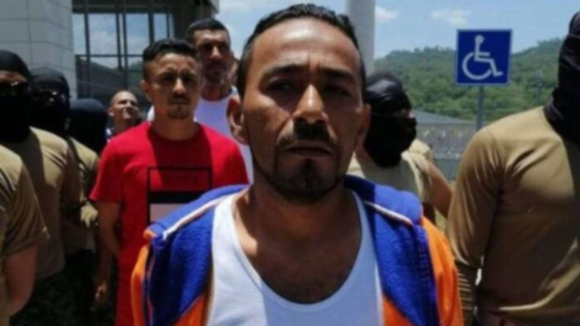 El Porky