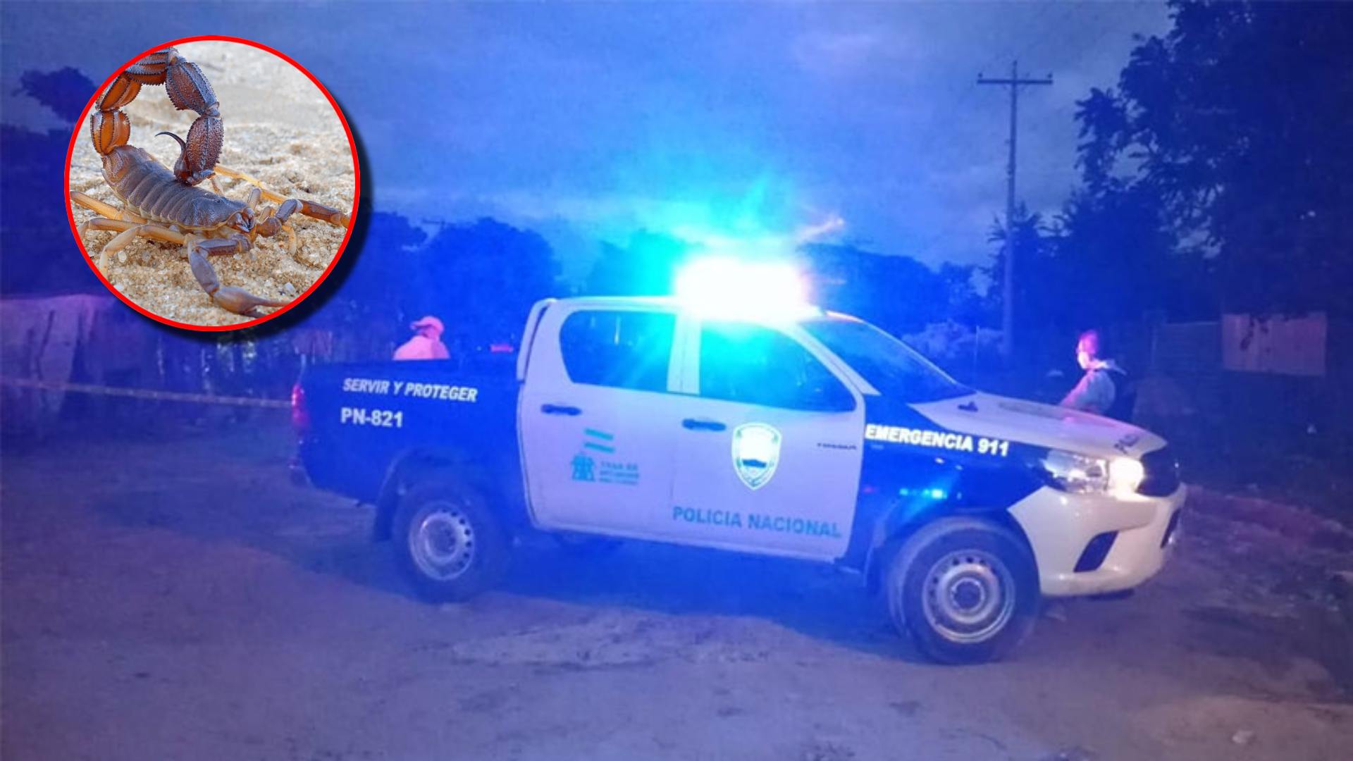 Lo que se sabe del hondureño que murió tras ser picado por un alacrán
