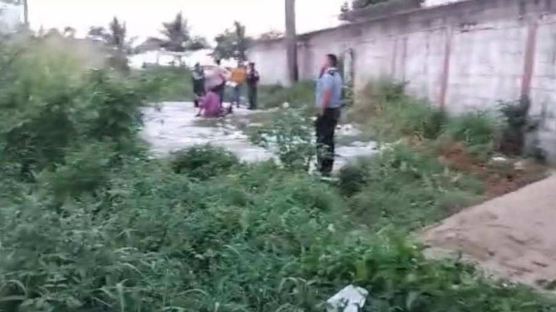 la ceiba
