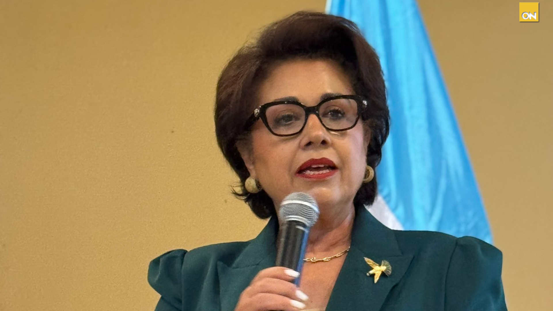 CSJ desmiente constituyente