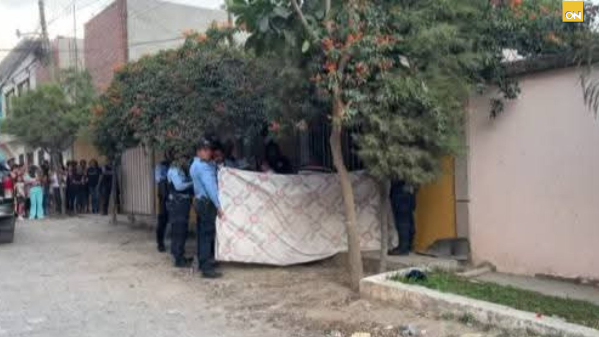 Compañera de hogar Comayagua