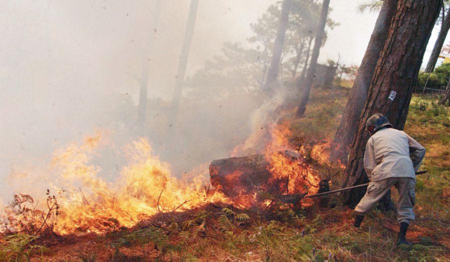 Incendios