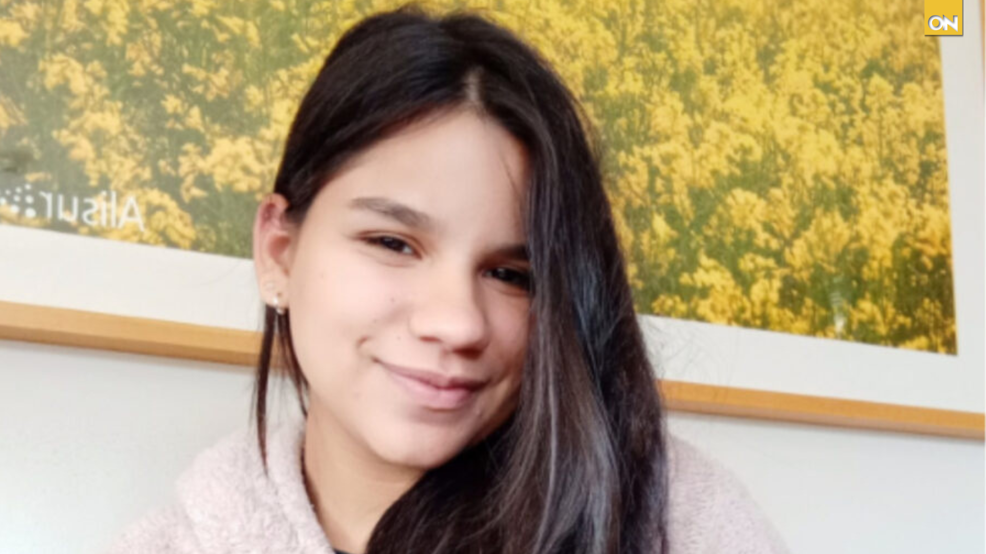 Joven ultimada por su suegra en Chile