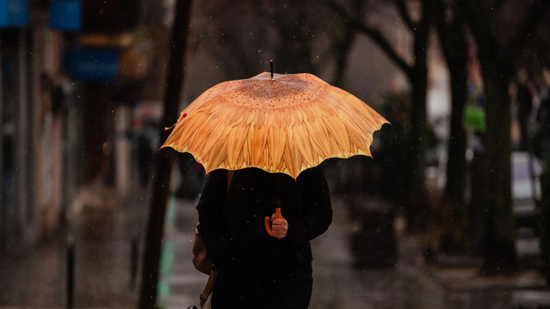 lluvias