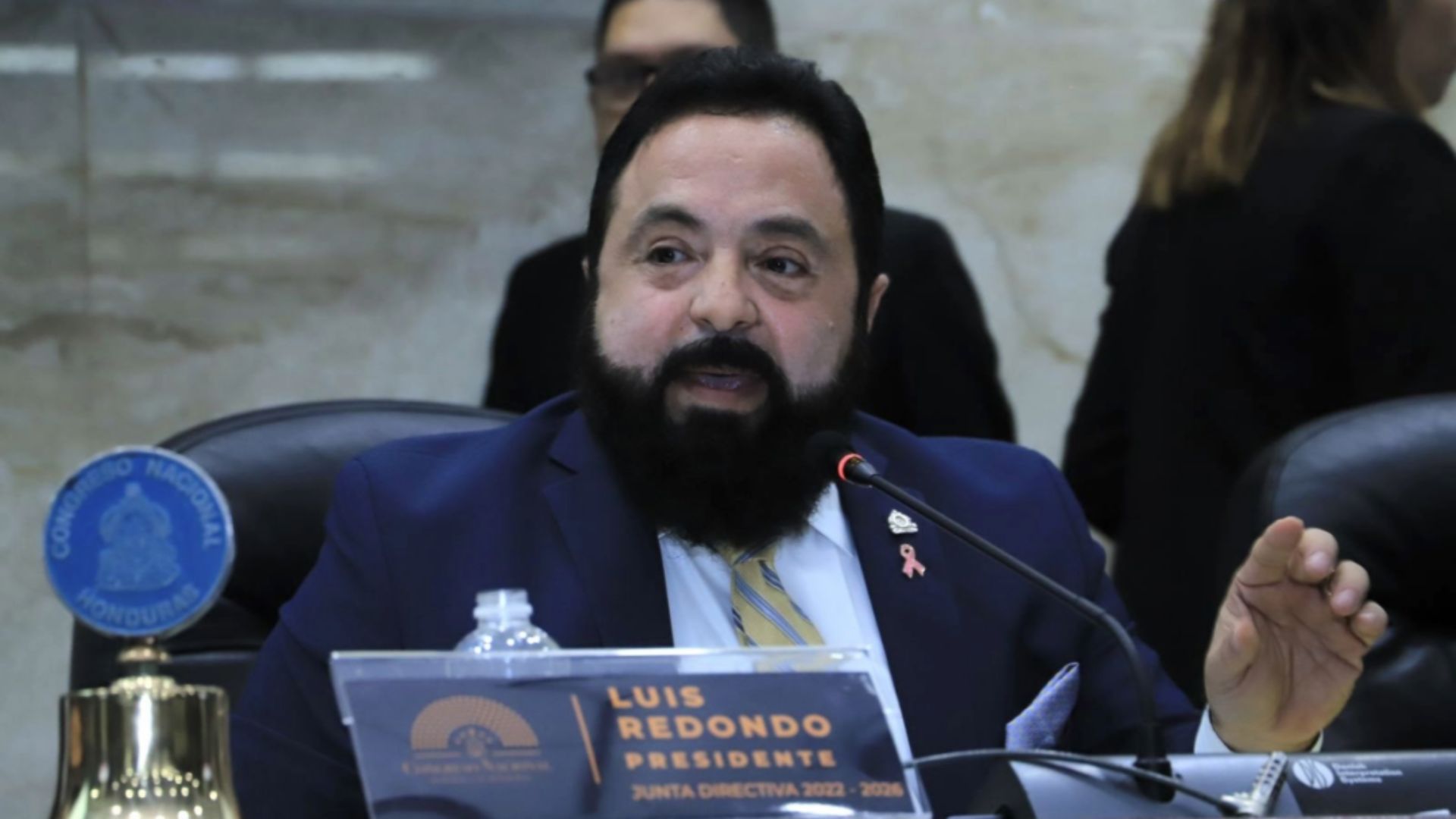 Luis-Redondo-ingerencia.