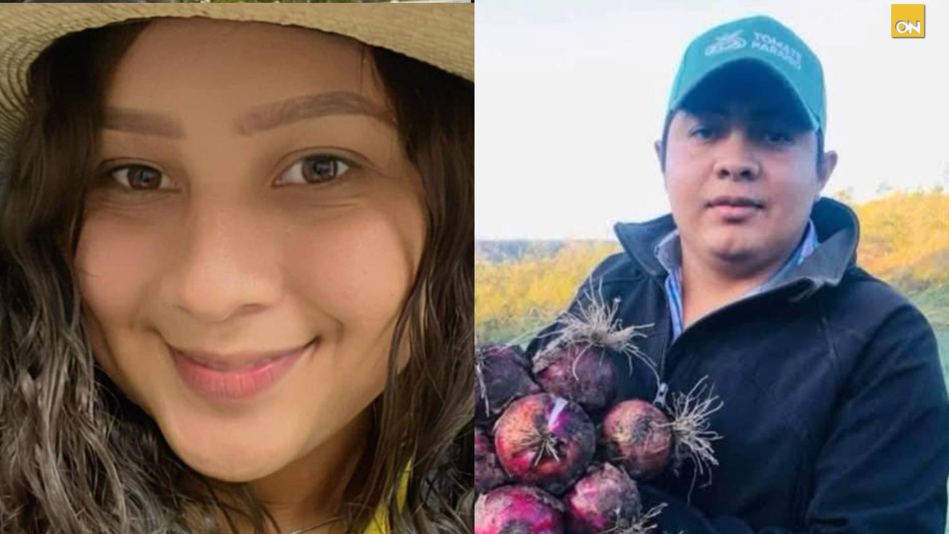 Pareja ingenieros asesinados Comayagua