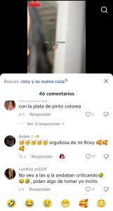 Comentarios