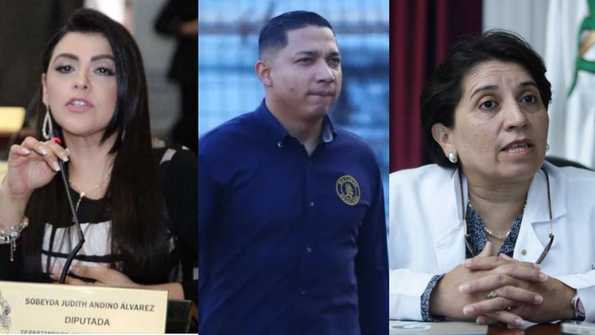 diputados congreso nacional