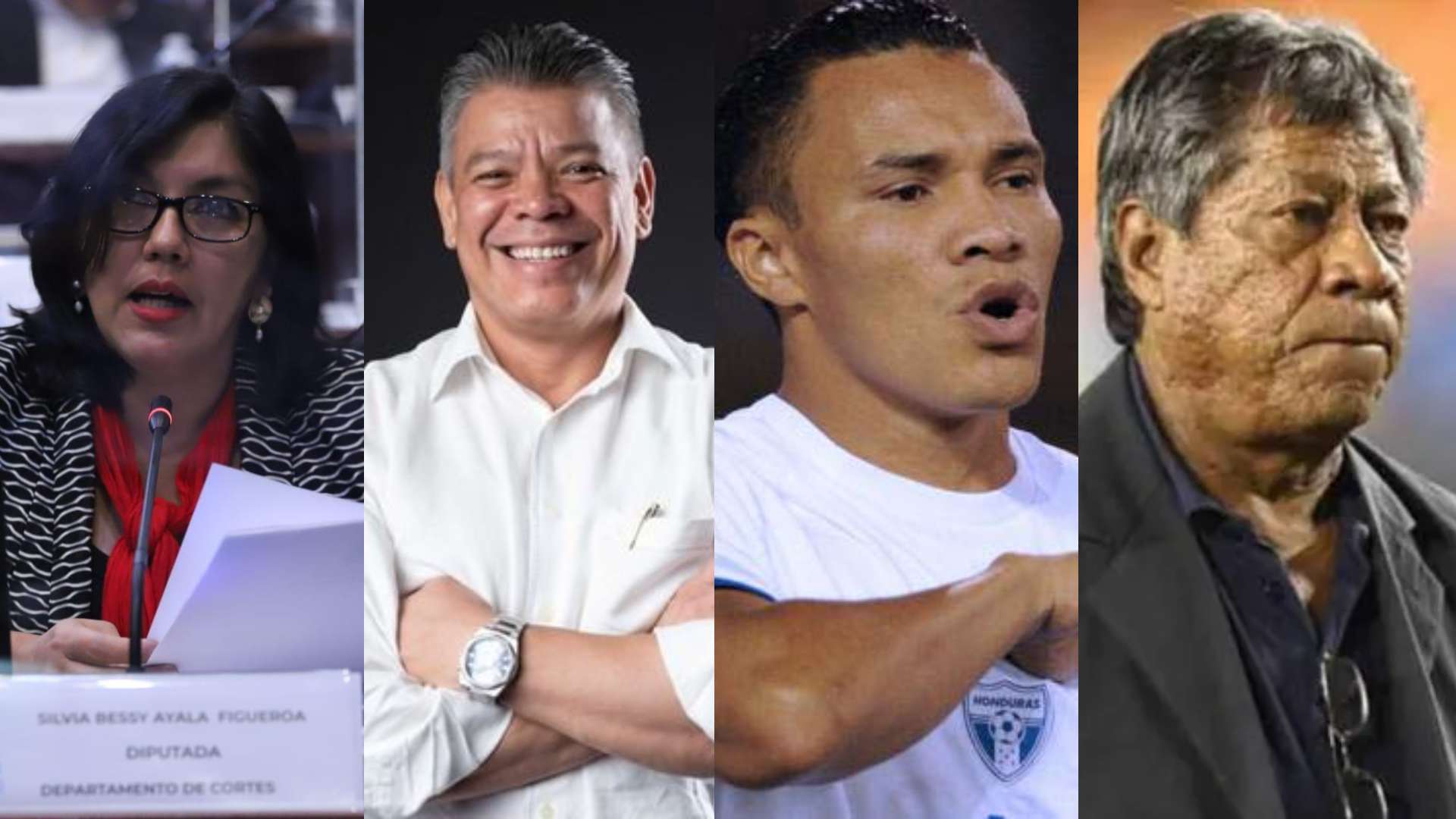 diputados congreso nacional
