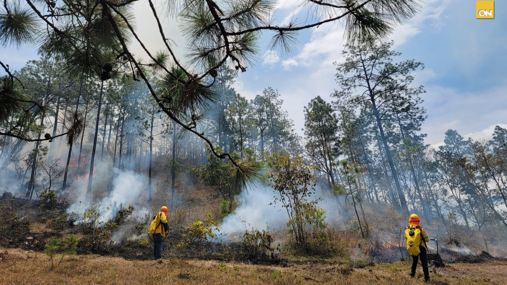incendios forestales Honduras 2025