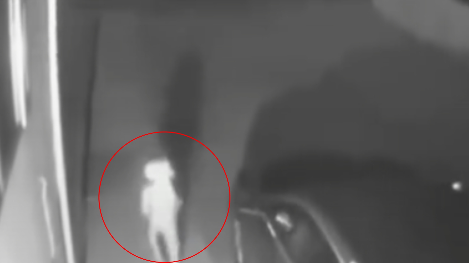 Extraña criatura es captada por cámaras en Colorado y desata teorías sobre alienígenas