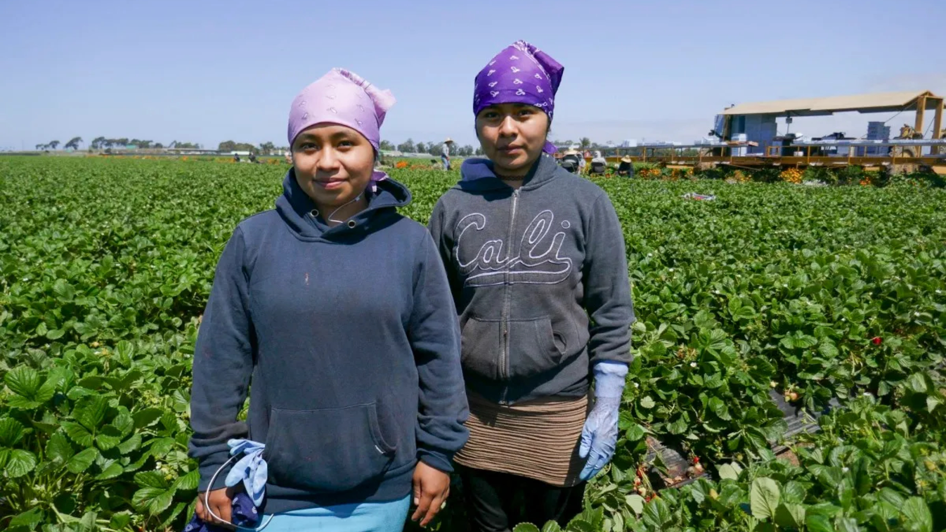 Florida empleos deportados