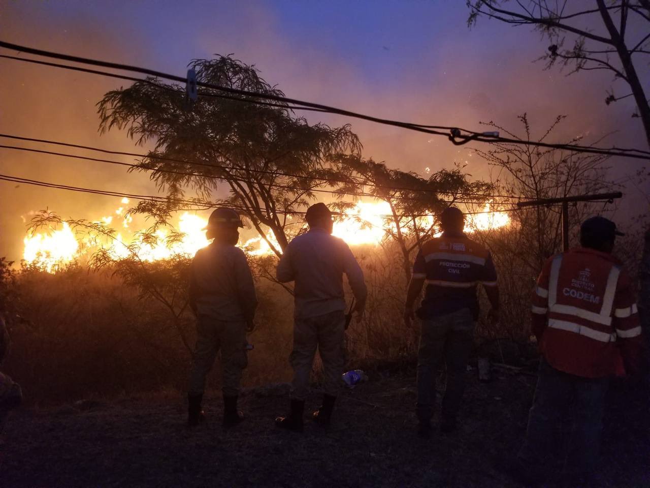 Incendio Valle de Ángeles Incendio Valle de Ángeles