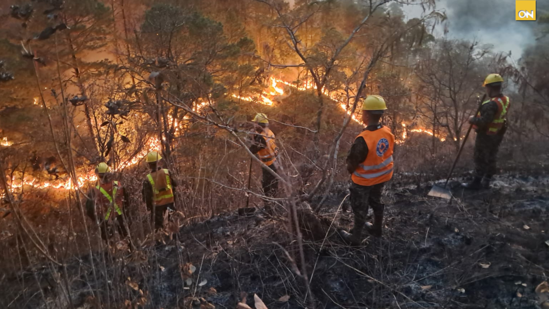 Incendios forestales Francisco Morazán