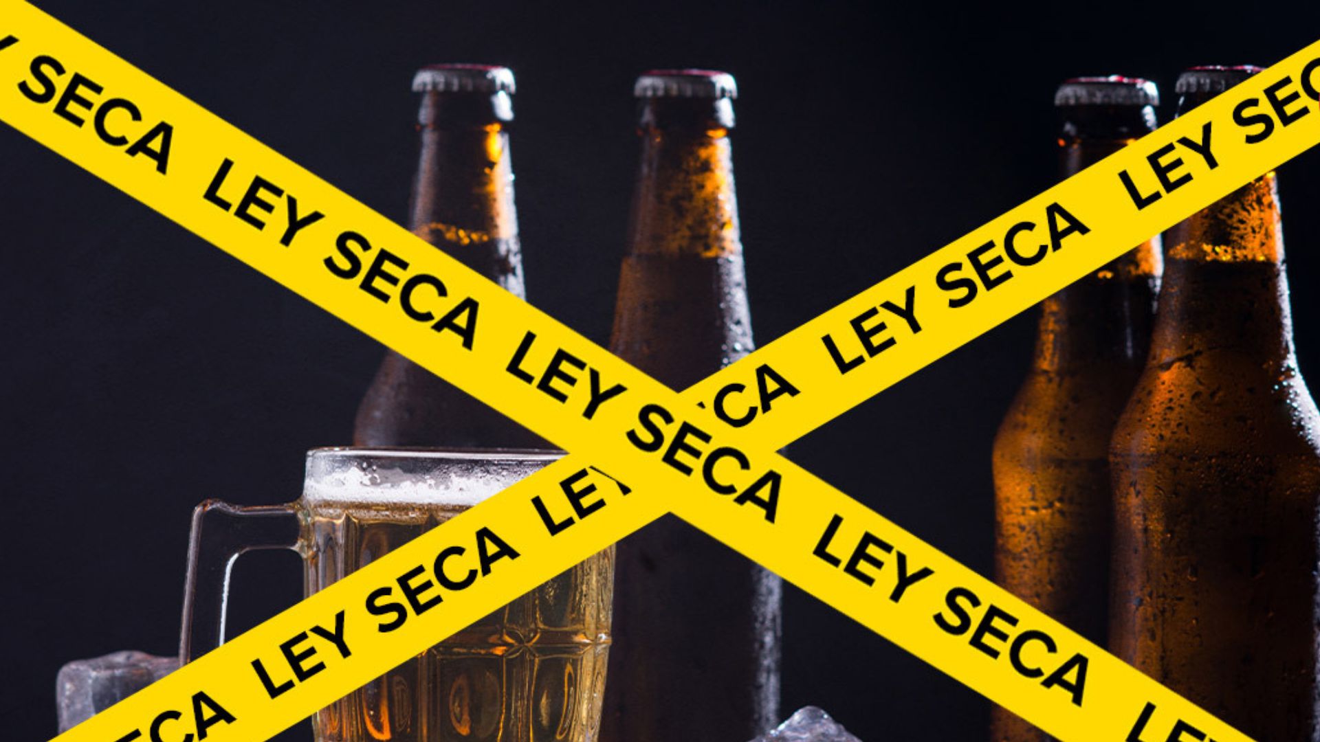 Ley Seca