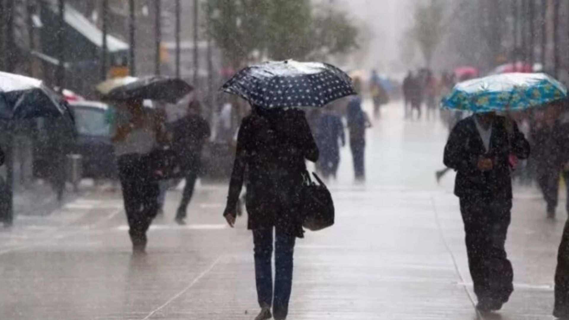 Copeco Lluvias